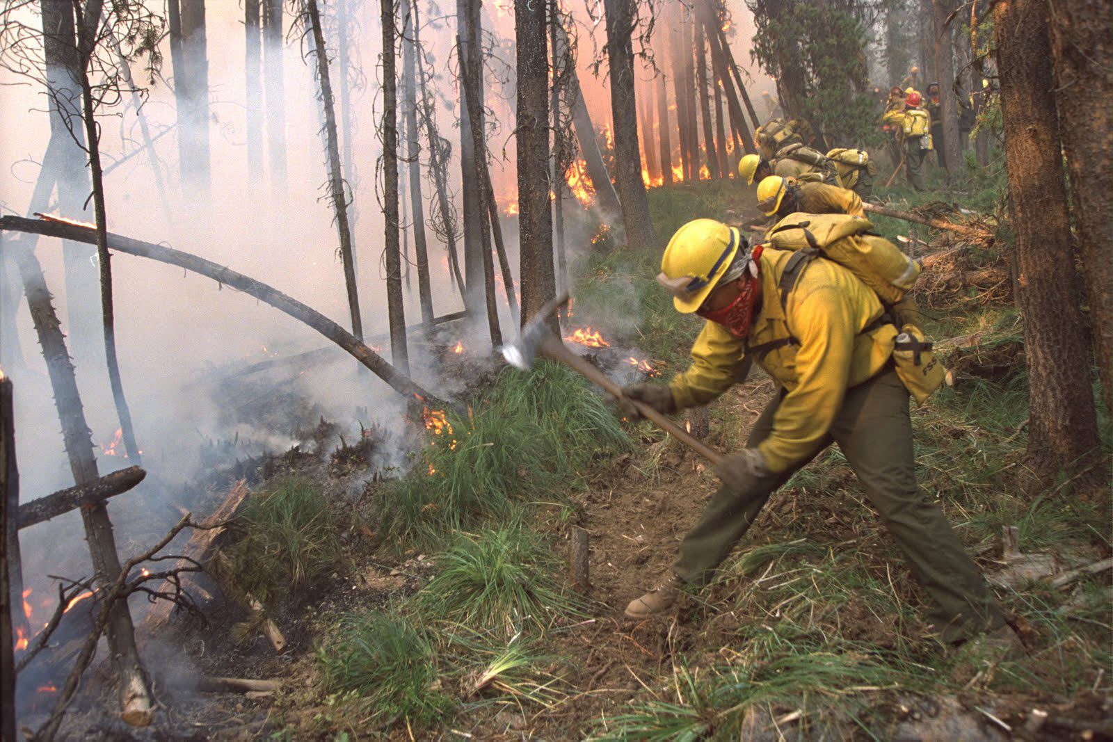 Wildland firefighters digging a fire line using hand tools while a fire burns close to them on one side.