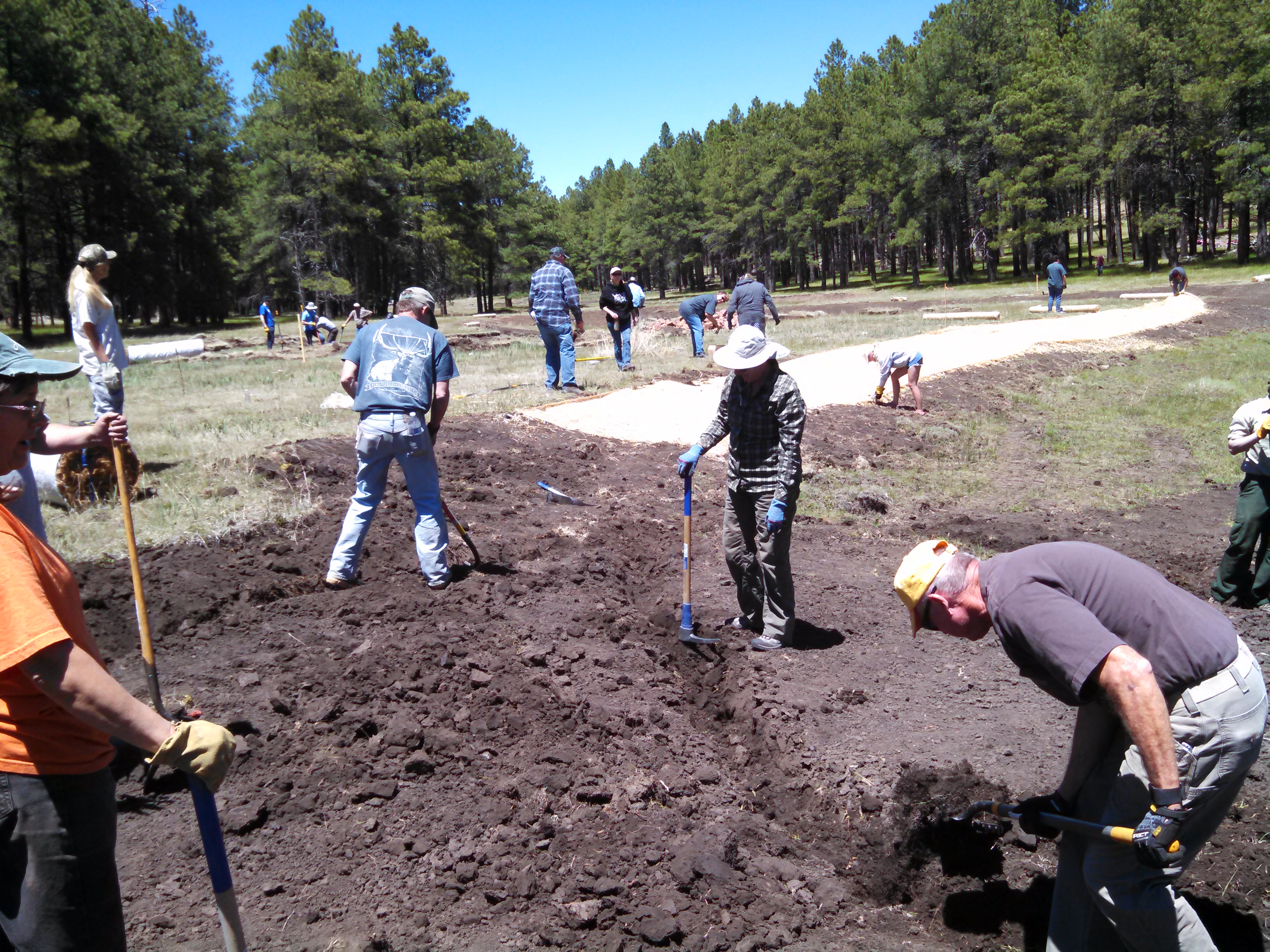 A group of people digging trenches in the groun and leveling a lighter colored soil in the background.