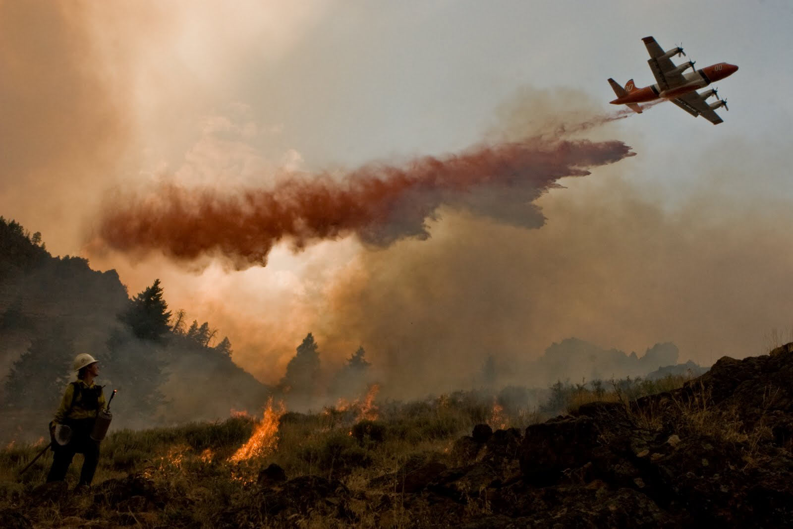 An airtanker aircraft dropping fire retardant on a forest fire while a lone wildland firefighter looks up at the aircraft from below.