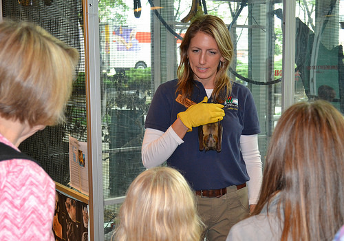 A photo of Jennifer Redell holding a straw-colored fruit bat, talking to a group of children.