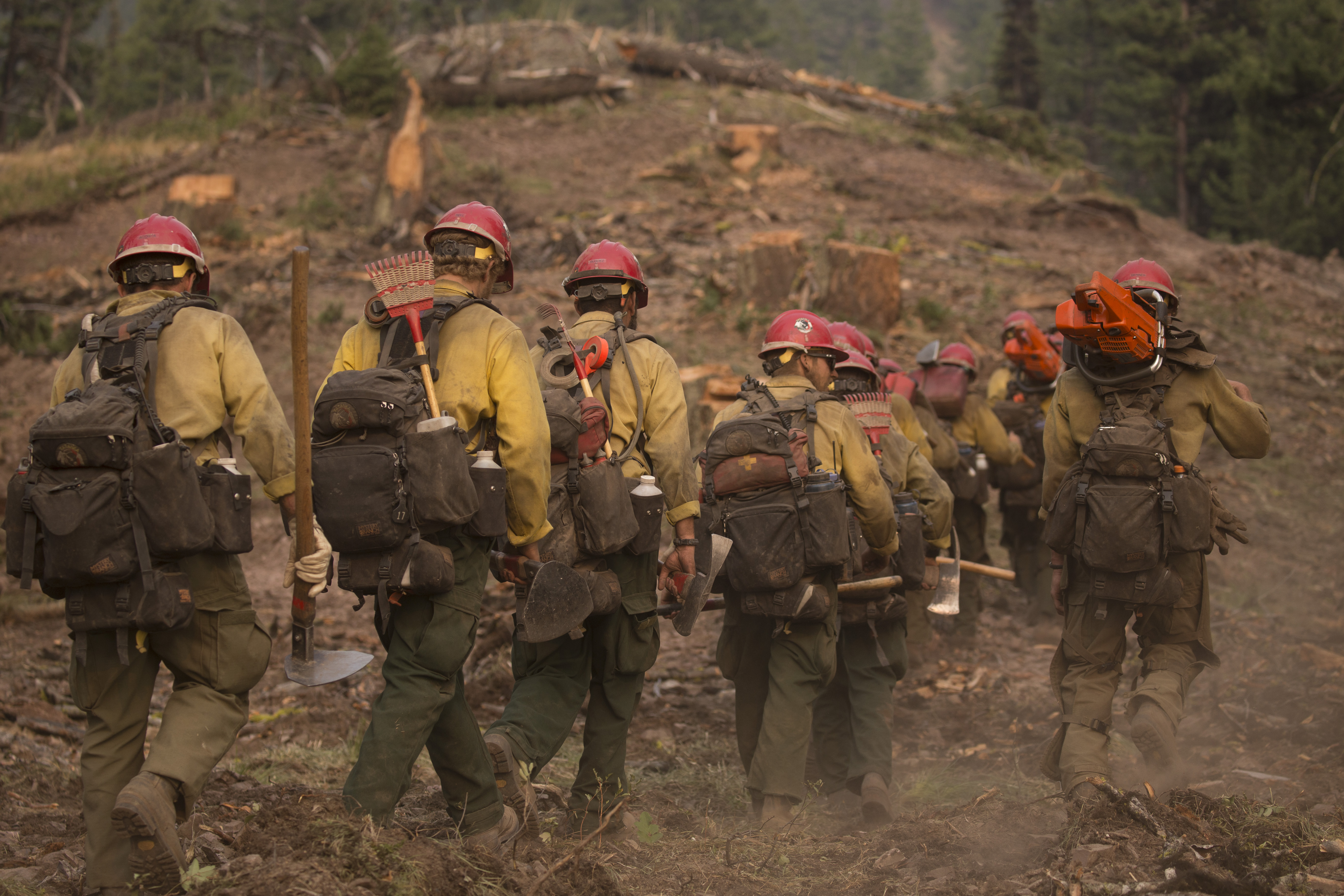 A line of wildland firefighters carrying tools and gear, walking up a slight mountain slope cleared of brush.