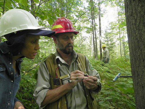 A photo of two natural resource professionals taking data from a tree