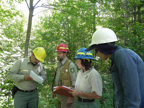 A photo of four natural resources professionals standing in a forest