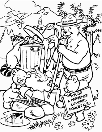 color the outdoors  us forest service