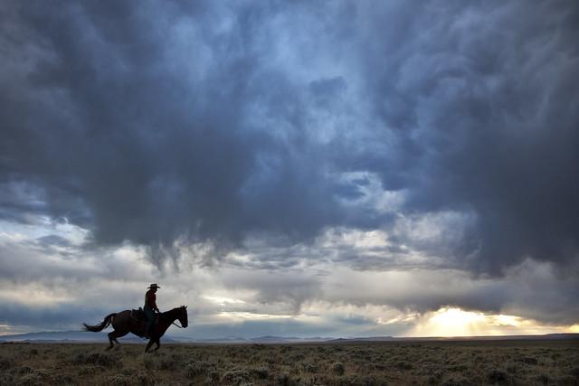 A silhouette of a horse and rider in the prairie at sunset.
