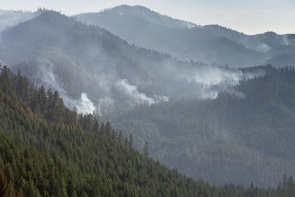 A picture of smoke rising up in several locations on a mountain side.
