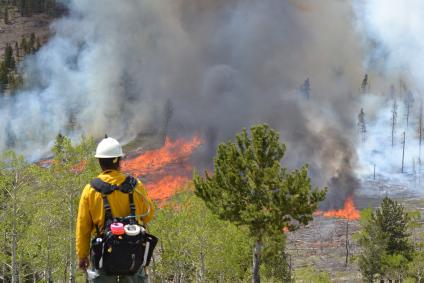 A picture of a firefighter, wearing a distinctive yellow shirt and white hard hat, overseeing an active burning area in the background. 