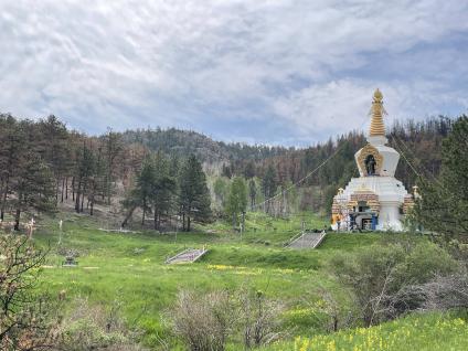 A picture of the Stupa at the Shambhala Mountain Center; a white and gold temple-like structure set on a forested hillside.