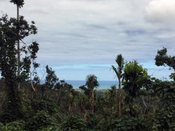 A picture of a scenic view from El Yunque National Forest towards Municipality of Luquillo on the Northeast coast of Puerto Rico.