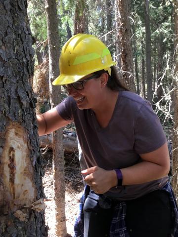 Amy Lockner examining a tree.