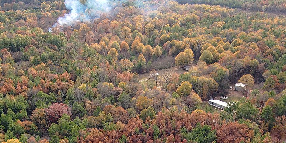 Aerial photo of an unhealthy forest showing dead trees and live trees with a fire in the background