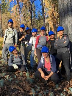 A group of nine volunteers, wearing blue hard hats, posing for a photo in the forest. 