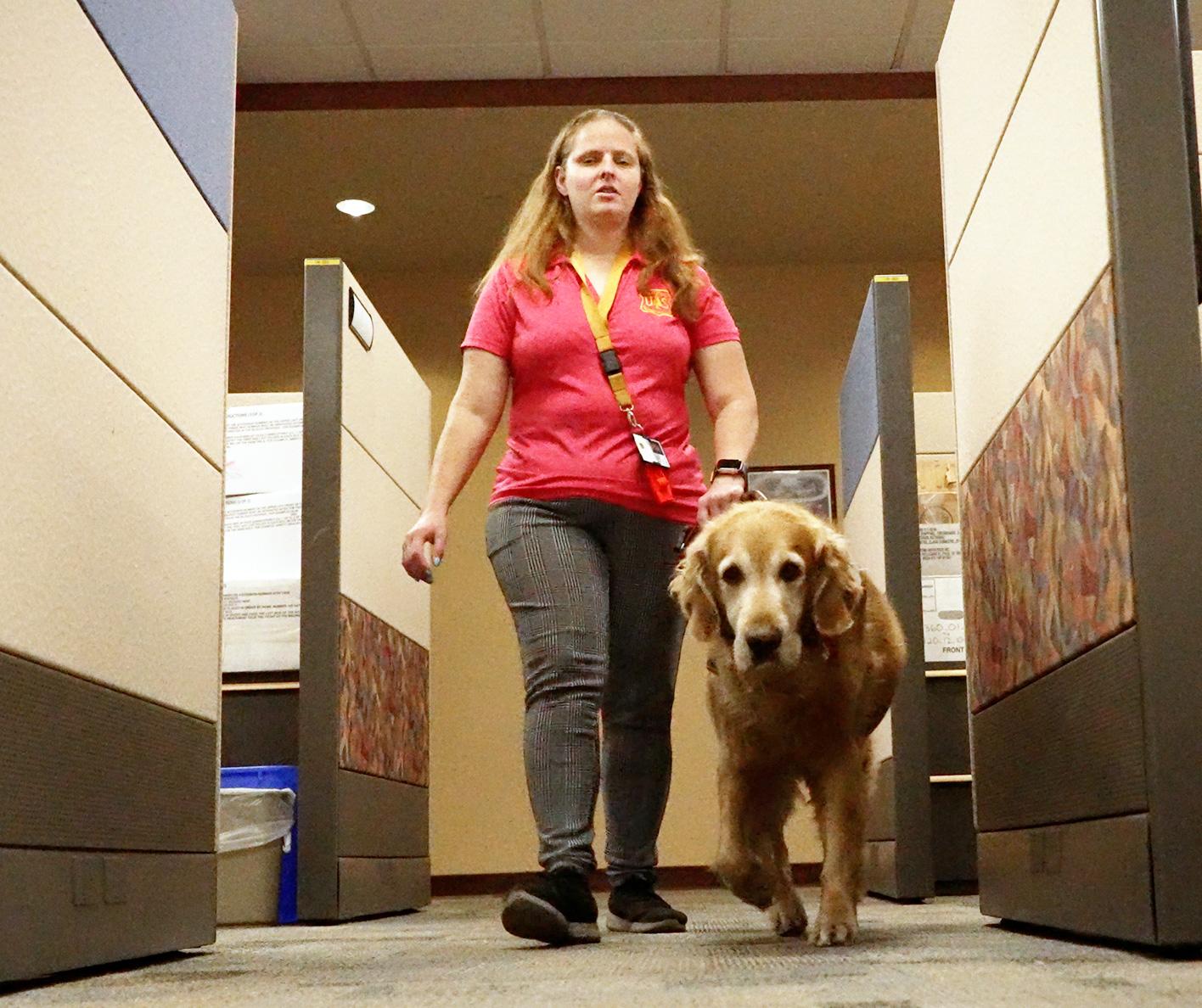 Woman in pink shirt walking with golden retriever in office building