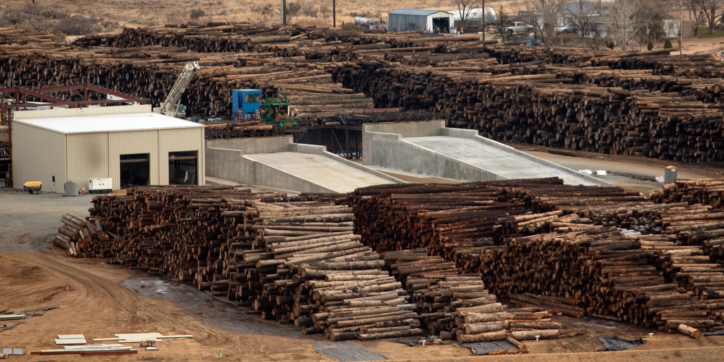 Stacks of logs at a sawmill
