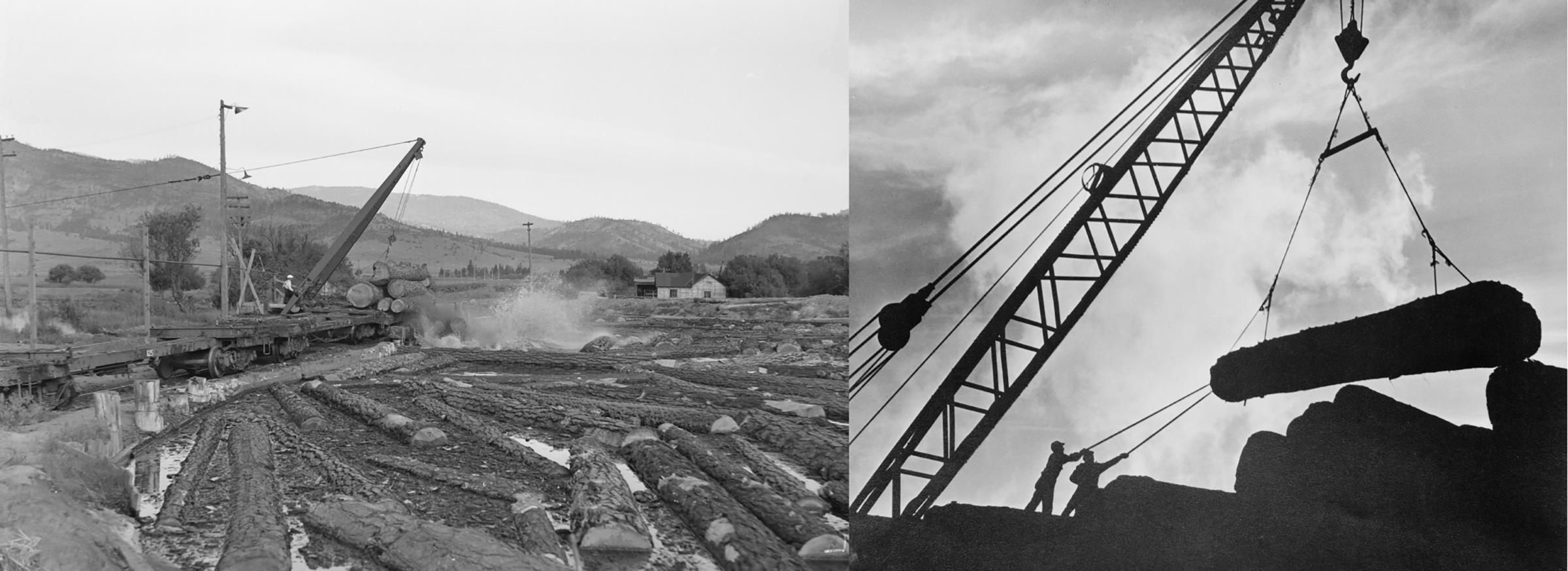 Black and white photo of saw mill on left and large crane lifting logs on the right.