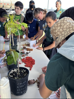 A group of children standing around a table with plants