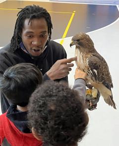 Man holds a red-tailed hawk and allows a young student to reach out and touch its breast.