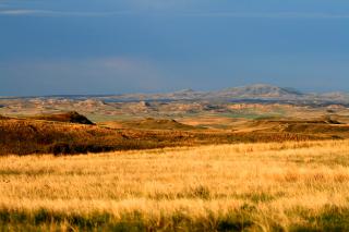 Dakota Prairie National Grasslands