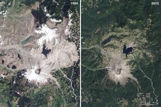 Landsat overview of Mt. St. Helens in 1984 and 2013.