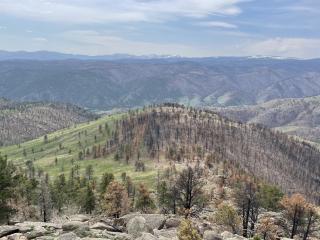 A picture showing the burned area of Cameron Peak; rolling hills with trees with burn scars.