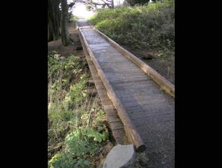 Accessible puncheon near Cape Perpetua Scenic Area on the Siuslaw National Forest