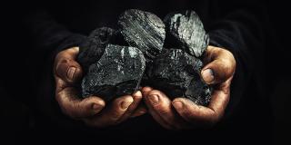 Image of a person's dirty hands holding lumps of black coal.