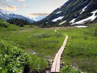 Image of the upper winner creek trail with wood boards crossing a small watershed.