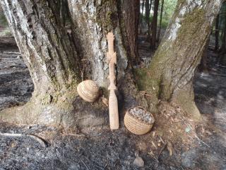 A pictures showing several indigenous artifacts leaning up against a tree.