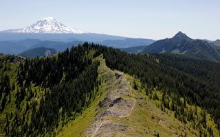 A trail along the mountain ridge in the Gifford Pinchot National Forest. Image by Matthew Tharp.