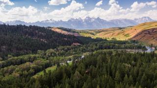 Landscape photo: Forest and hills with mountains in distance.