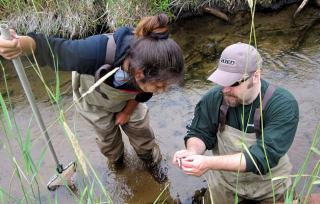 Image of Forest Service biologists conducting surveys to understand fish-habitat relationships.