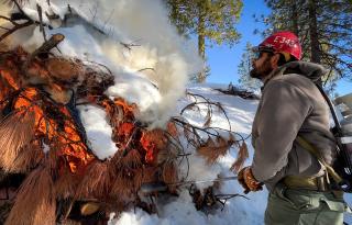 A wildland firefighter with a propane bottle and torch, burning a pile of fallen branches under the snow.