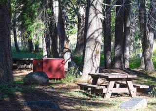 A forest campground with weather proof picnic table and bear proof food locker