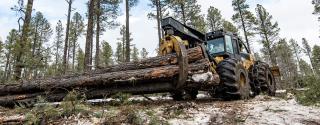 Grapple skidder machinery is used to remove cut trees during a logging operation.