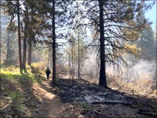 A wildland firefighter walking down a trail next to a prescribed burn.