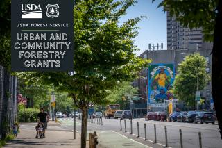 A picture of a an urban setting with a man pushing a baby stroller with a small child inside.  Several urban trees can be seen in the picture.