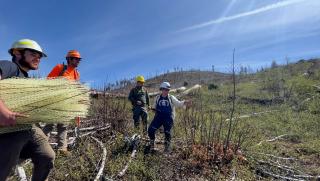 Four people in hard hats survey terrain where they will plant valley oaks and acorns. Site is area effected by Camp Fire.