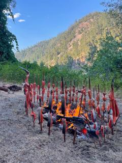   Traditional salmon shown cooking on redwood sticks at Inaam Ceremonial Grounds. Inaam Pickyavish (World Renewal Ceremony). 