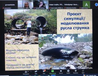 Screenshot from USDA Forest Service webinar. This slide compares the effectiveness of different culvert types. Text is in Cyrillic.