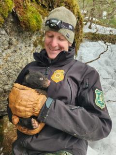 Man wearing a beenie, winter jacket with FS badge, and heavy-duty winter gloves hold black bear cub in his arms