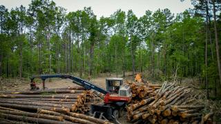 Contractors prepare to transfer shortleaf pine off one of Mark Twain National Forest’s log landings