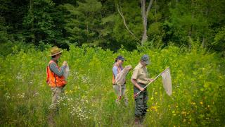 In addition to developing two master’s students and one doctoral student, the Pollinator Habitat in Log Landings Project has trained and mentored 9 undergraduate and post-graduate technicians. 