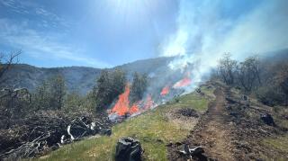 A prescribed burn on a ridgeline known as backbone ridge.