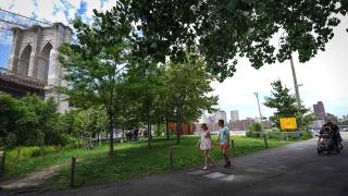 People walking in the shade provided by trees at Brooklyn Bridge Park, Brooklyn, New York, July 3, 2023.