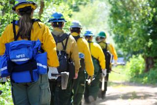 Students at basic fire school march together towards the woods with shovels, rakes and other fire tools in hand.