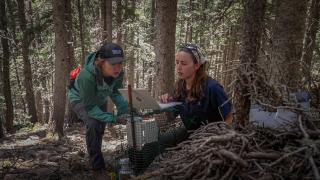 Two young women collect scientific data in the forest.