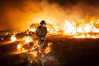 At night a wildland firefighter uses a drip torch to ignite the brush.