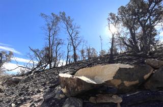 A large boulder in the aftermath of a wildand fire, having broken apart due to the heat of a fire.