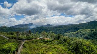 Photo of trees and mountains in the El Yunque National Forest.