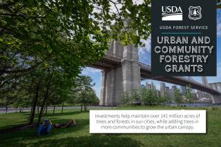 Two people laying down in a park next to the Brookly Bridge.  Title text reads "USDA FOREST SERVICE URBAN AND COMMUNITY FORESTRY GRANTS." Subtext reads "Investments help maintain over 141 million acres of trees and forest in our cities, while adding trees in more communities to grow the urban canopy."